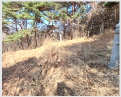  2025Ÿ��51114 �泲 ������ ����� ������ ��52      ����(�Ӿ�)���