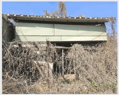  2025Ÿ��51137  �����