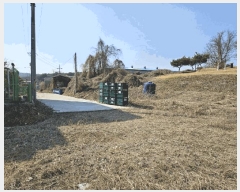  2025Ÿ��51137  �����