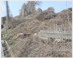  2025Ÿ��51137  �����