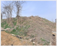  2025Ÿ��51137  �����