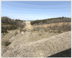  2025Ÿ��51188  ���ڽü����