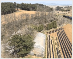  2025Ÿ��51188  ���ڽü����