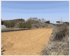  2025Ÿ��51188  ���ڽü����