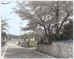  2025Ÿ��51200 �泲 �¾ȱ� �ҿ��� ���׸� 979-262      ���ð��