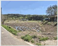  2025Ÿ��51229  �����