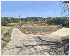  2025Ÿ��51229  �����