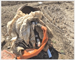  2025Ÿ��51229  �����