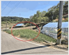  2025Ÿ��51229  �����