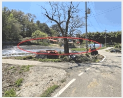  2025Ÿ��51229  �����