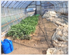  2025Ÿ��51229  �����