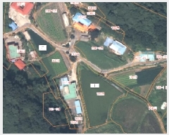  2025Ÿ��51229  �����