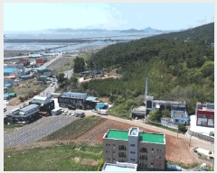  2025Ÿ��51251 �泲 �¾ȱ� �ҿ��� �Ŵ��� 263-1      ����(��)���