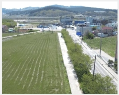 2025Ÿ��51251 �泲 �¾ȱ� �ҿ��� �Ŵ��� 263-1      ����(��)���