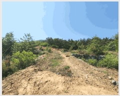  2025Ÿ��51287 �泲 ����� ������ �굿�� 248-23      ����(�Ӿ�)���