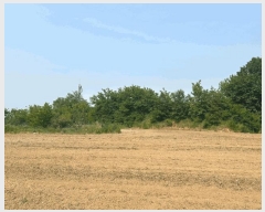  2025Ÿ��51360 �泲 ������ �۾��� ���븮 686-18      ����(�Ӿ�)���