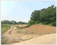  2025Ÿ��51360 �泲 ������ �۾��� ���븮 686-18      ����(�Ӿ�)���