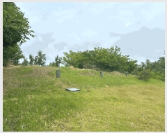  2025Ÿ��51360 �泲 ������ �۾��� ���븮 686-18      ����(�Ӿ�)���