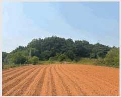  2025Ÿ��51360 �泲 ������ �۾��� ���븮 686-18      ����(�Ӿ�)���