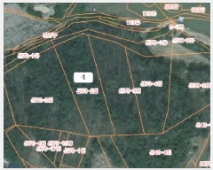  2025Ÿ��51360 �泲 ������ �۾��� ���븮 686-18      ����(�Ӿ�)���