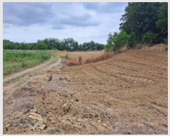  2025Ÿ��51360 �泲 ������ �۾��� ���븮 686-18      ����(�Ӿ�)���