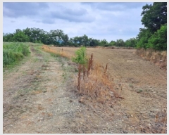  2025Ÿ��51360 �泲 ������ �۾��� ���븮 686-18      ����(�Ӿ�)���