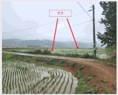  2025Ÿ��51367 �泲 ����� ������ ������ 166-3      ����(��)���