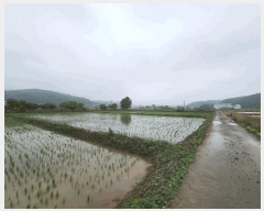  2025Ÿ��51367 �泲 ����� ������ ������ 166-3      ����(��)���