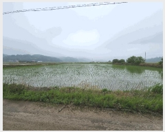  2025Ÿ��51367 �泲 ����� ������ ������ 166-3      ����(��)���