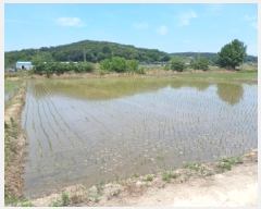  2025Ÿ��51367 �泲 ����� ������ ������ 166-3      ����(��)���