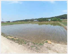  2025Ÿ��51367 �泲 ����� ������ ������ 166-3      ����(��)���