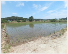  2025Ÿ��51367 �泲 ����� ������ ������ 166-3      ����(��)���