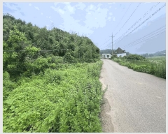  2025Ÿ��51423 �泲 ������ �۾��� ��� 241      ����(��1)���