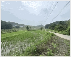  2025Ÿ��51423 �泲 ������ �۾��� ��� 241      ����(��1)���