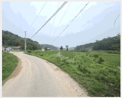  2025Ÿ��51423 �泲 ������ �۾��� ��� 241      ����(��1)���