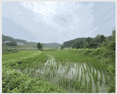  2025Ÿ��51423 �泲 ������ �۾��� ��� 241      ����(��1)���