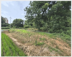  2025Ÿ��51463 �泲 ������ �۾��� ������ 27-2      ����(��)���