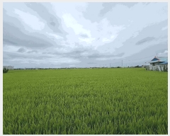  2025Ÿ��51493 �泲 ������ �찭�� ���̸� 752-7      ����(��)���