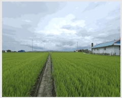  2025Ÿ��51493 �泲 ������ �찭�� ���̸� 752-7      ����(��)���
