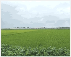  2025Ÿ��51550 �泲 ������ �մ��� ���� 75-1      ����(��)���