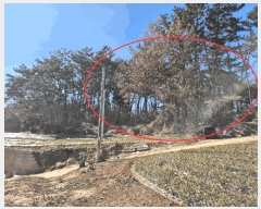  2025Ÿ��63  �ٸ��ü����