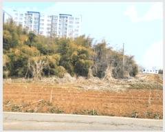  2025Ÿ��254 �泲 ������ ����� �Ż긮 22-22      ����(��1)���