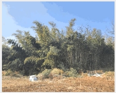  2025Ÿ��254 �泲 ������ ����� �Ż긮 22-22      ����(��1)���