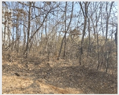  2025Ÿ��254 �泲 ������ ����� �Ż긮 22-22      ����(��1)���