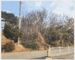  2025Ÿ��254 �泲 ������ ����� �Ż긮 22-22      ����(��1)���