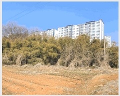  2025Ÿ��254 �泲 ������ ����� �Ż긮 22-22      ����(��1)���