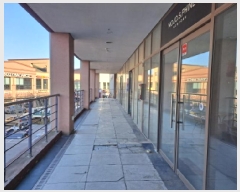  2025Ÿ��377  �ٸ��󰡰��