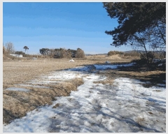  2025Ÿ��407 �泲 ������ ������ �鼮�� 150-8      ����(�Ӿ�)���