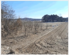  2025Ÿ��407 �泲 ������ ������ �鼮�� 150-8      ����(�Ӿ�)���