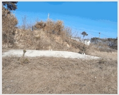  2025Ÿ��407 �泲 ������ ������ �鼮�� 150-8      ����(�Ӿ�)���